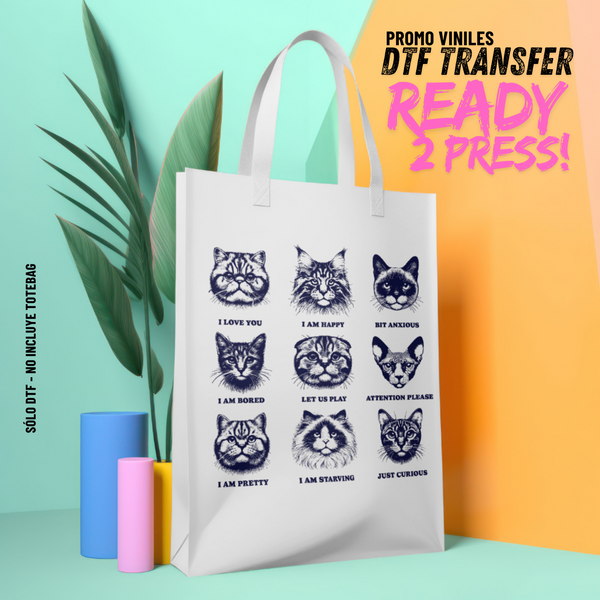 DTF Transfers | Cat Moods