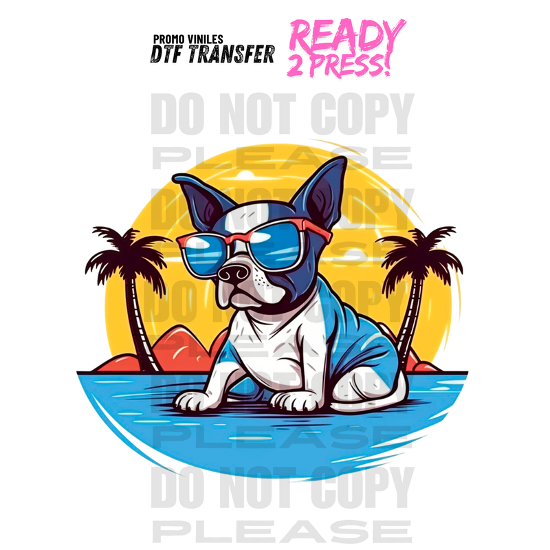 DTF Transfers | Doggy Three