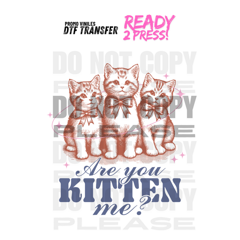 DTF Transfers | Are you Kitten Me?