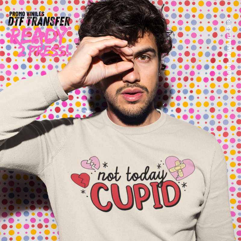 DTF Transfers | Sarcastic Valentine