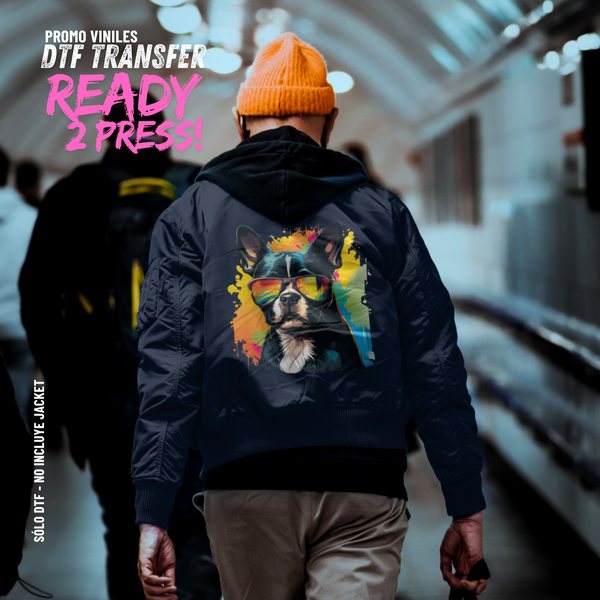 DTF Transfers | Doggy Splash 7